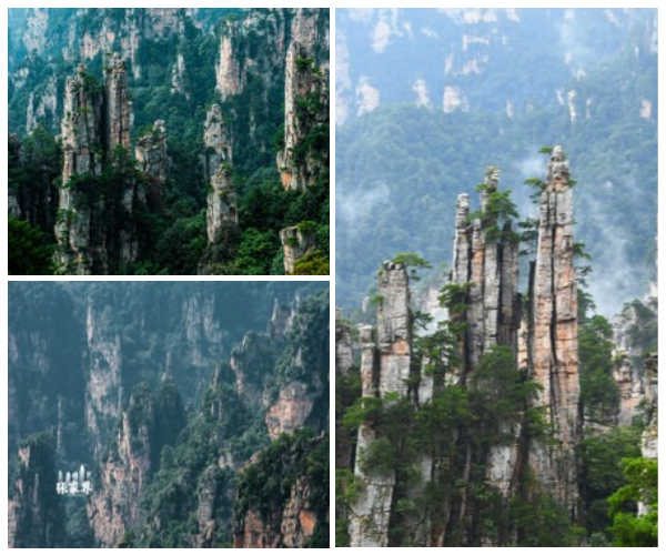 天子山